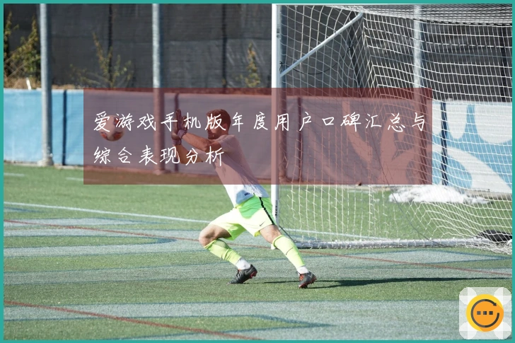 爱游戏手机版年度用户口碑汇总与综合表现分析