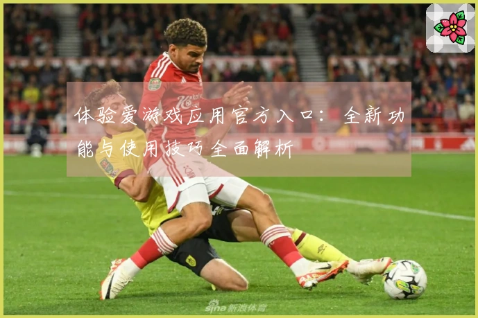 体验爱游戏应用官方入口：全新功能与使用技巧全面解析